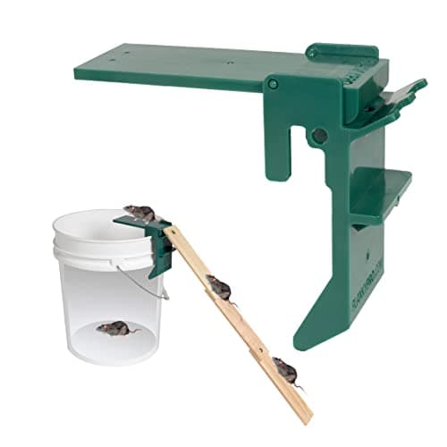 Walk the Plank Bucket Mouse Trap