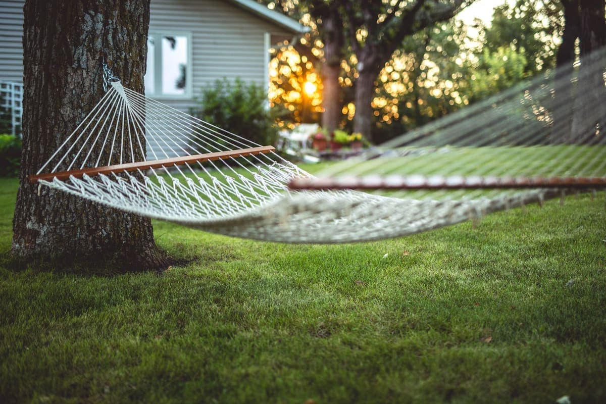 A tranquil backyard with a hammock and a tree at sunset