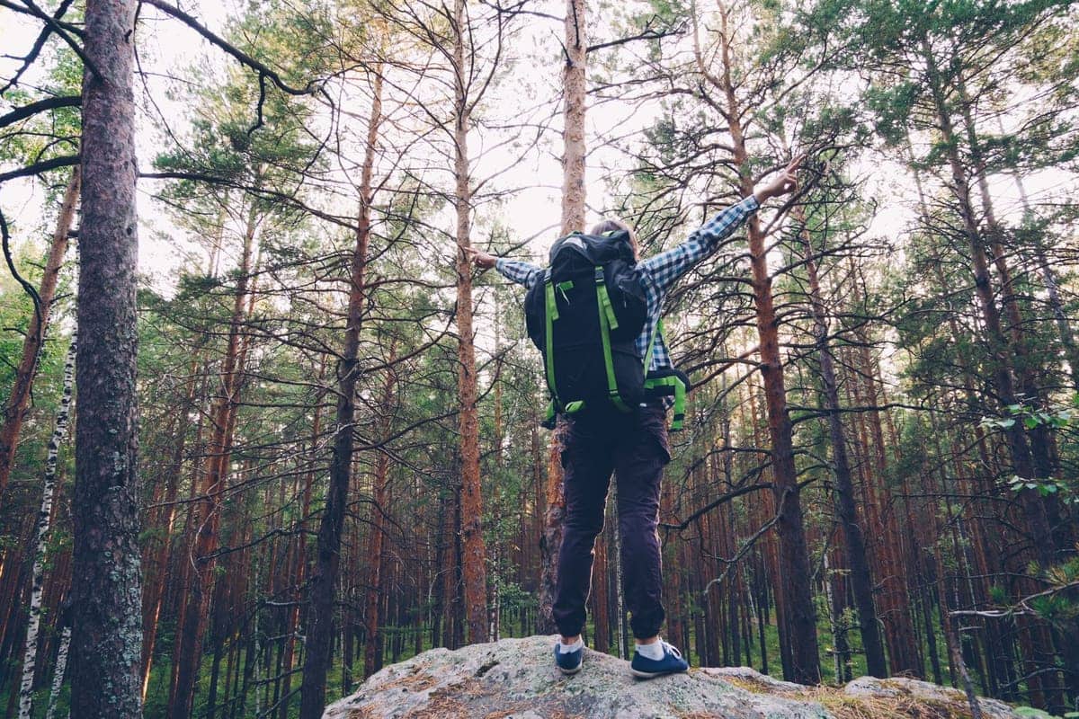 A hiker with a backpack standing on a rock in a lush green forest