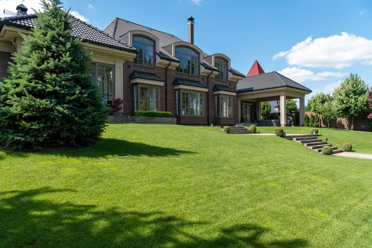A large manicured lawn beside a modern house