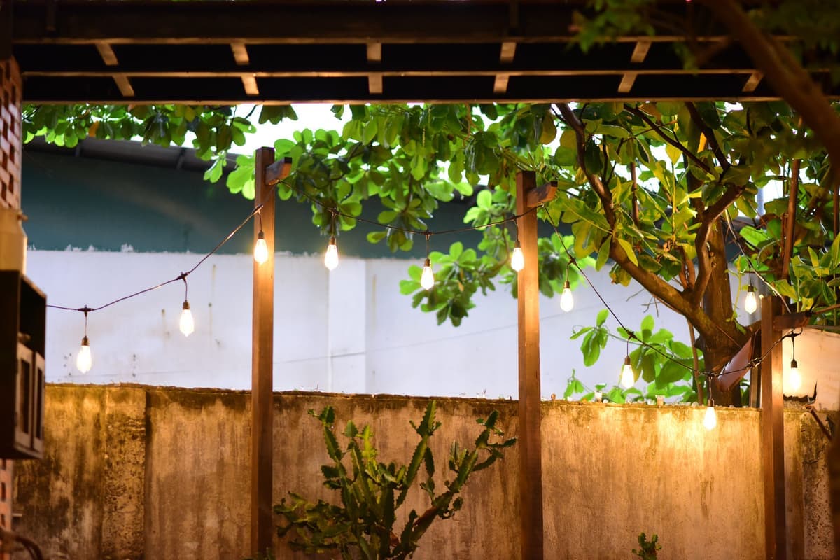 Warm string lights above a backyard with lush foliage