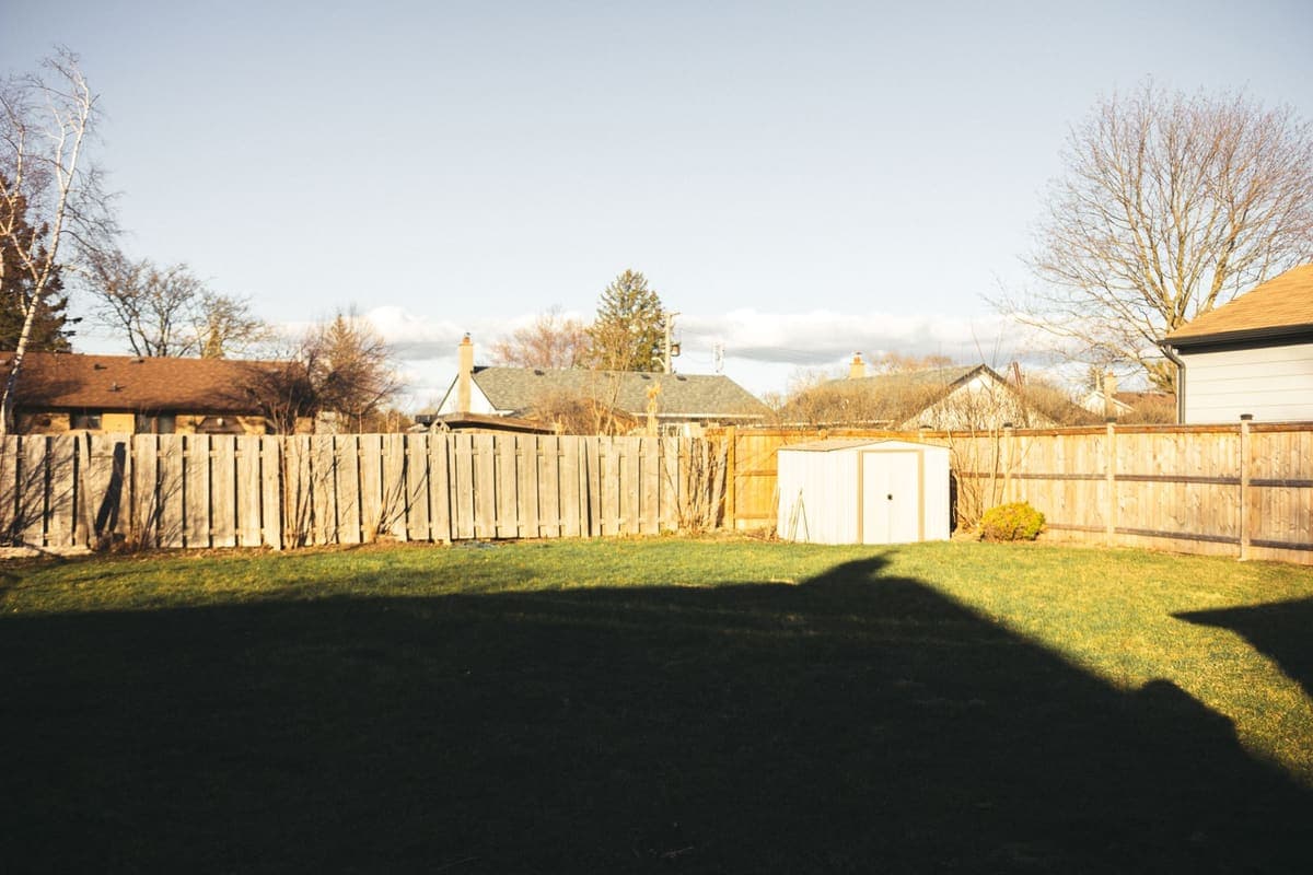 A residential backyard with a wooden fence, lawn and a garden shed on a sunny day