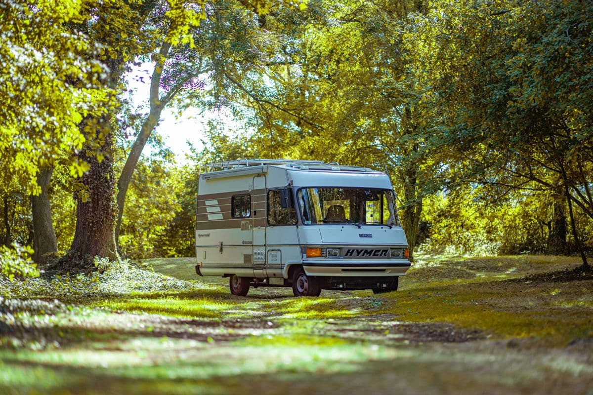 A camper van parked among green trees in a forest clearing