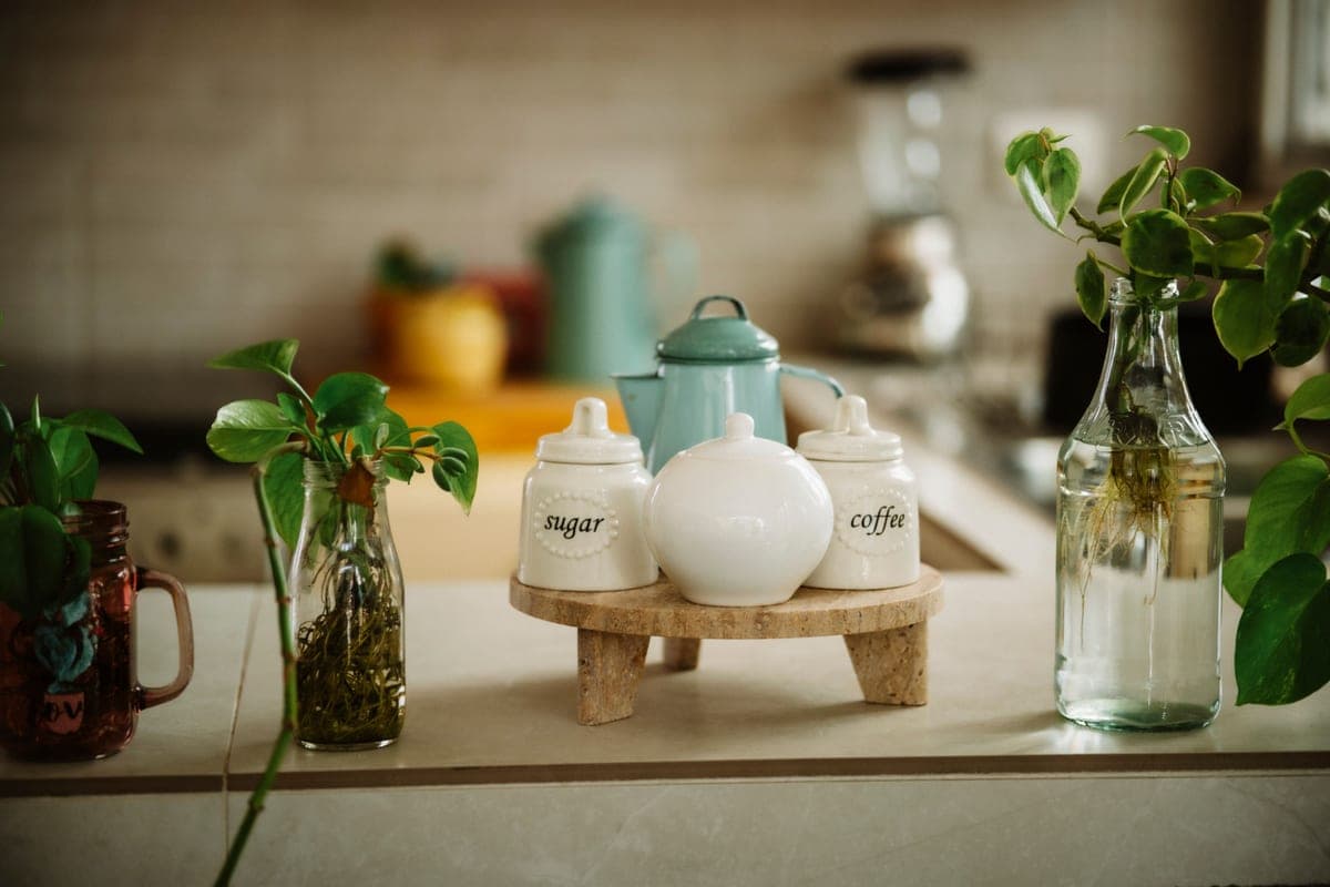 A kitchen counter with storage jars, plants and decor