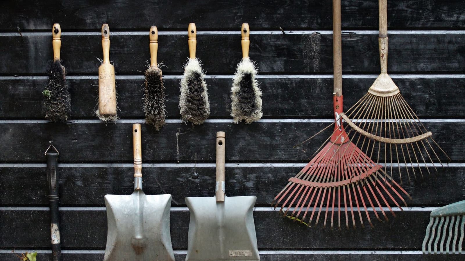 Garden tools hanging neatly on a rustic wooden shed wall