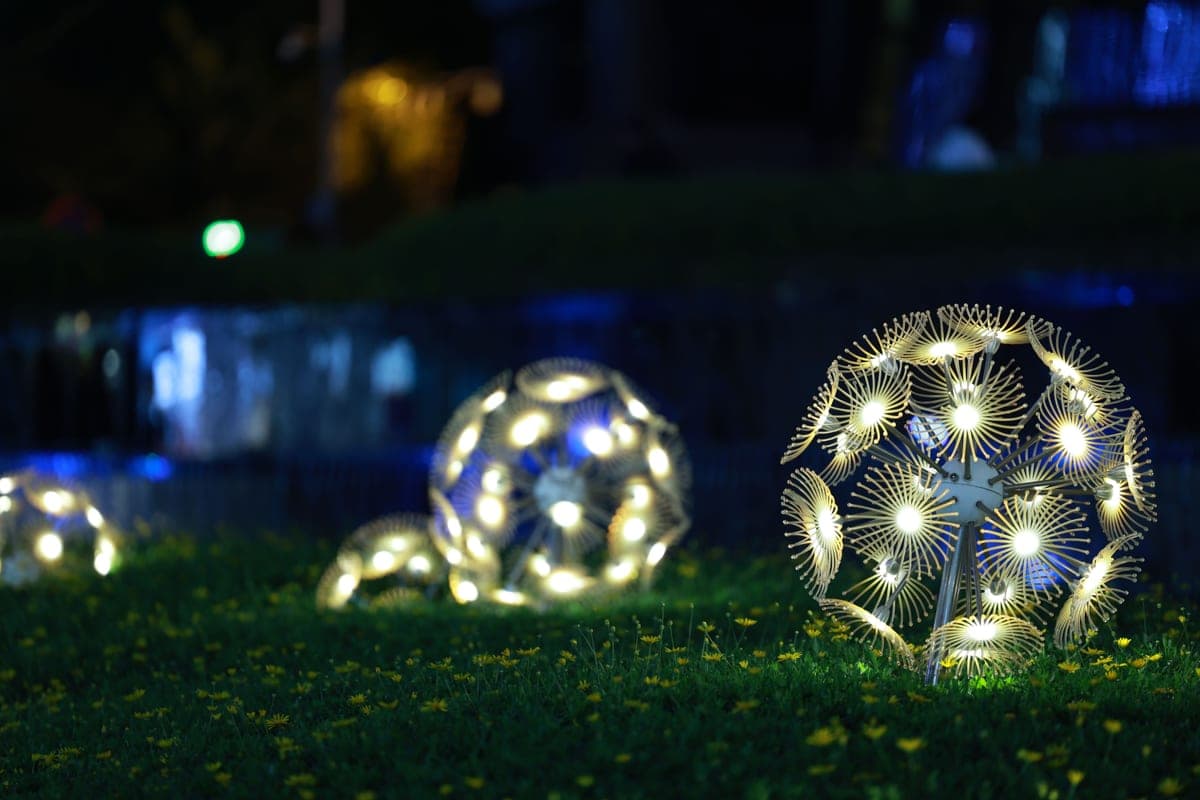 Glowing spheres lighting a garden at night