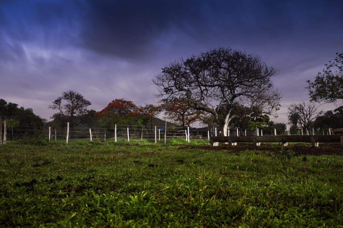 A rural landscape at twilight