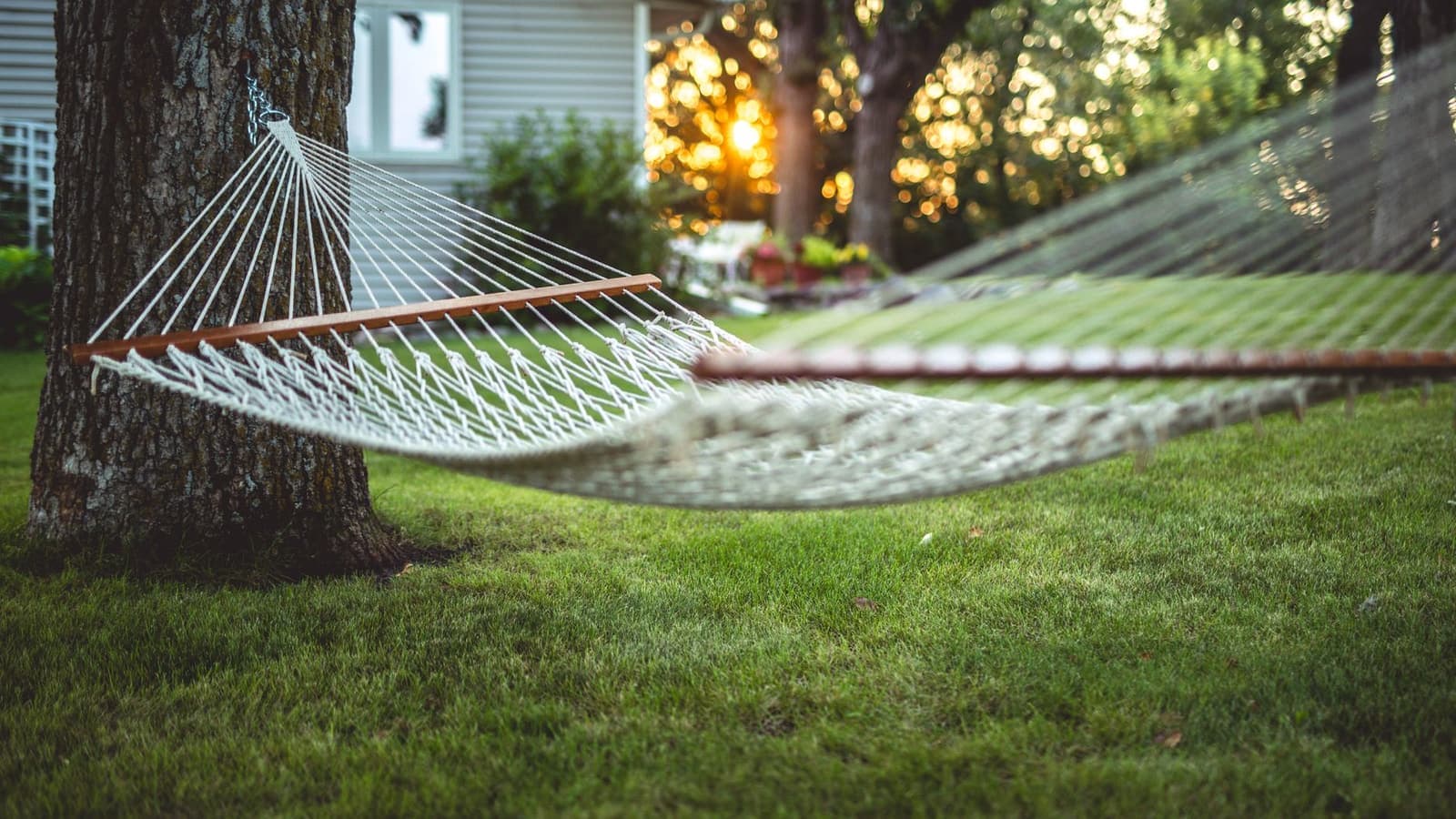 A quiet backyard with a hammock slung under a tree at sunset
