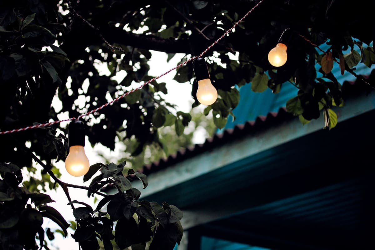 Atmospheric string lights hanging among green tree branches at dusk