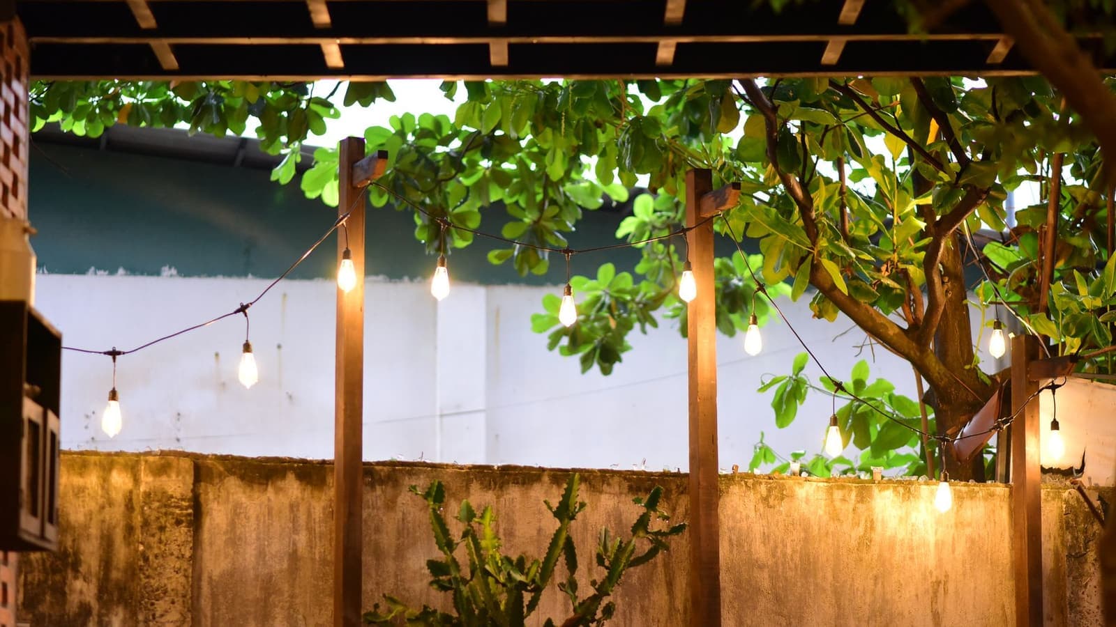 Warm string lights above a backyard with dense foliage at dusk