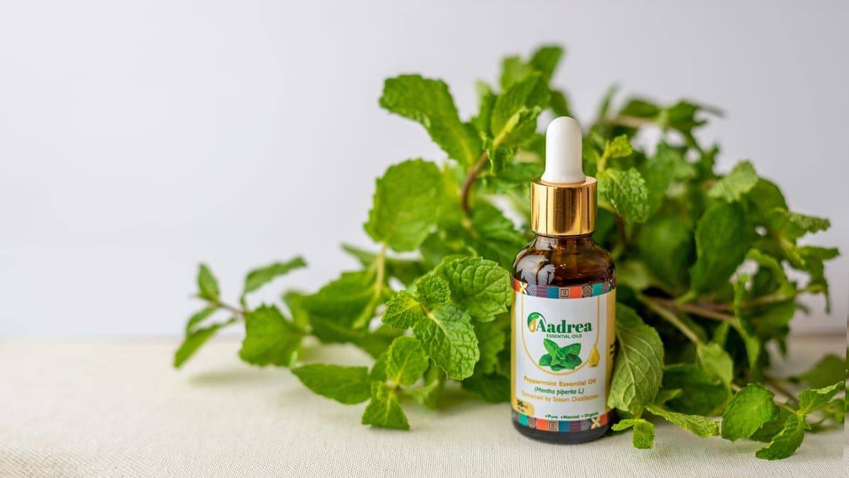 A bottle of peppermint essential oil surrounded by fresh mint leaves