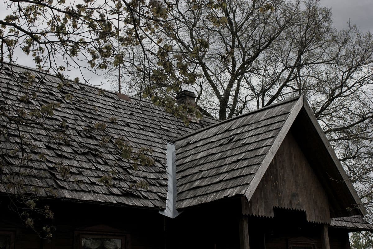 A shingle roof and eaves beside bare tree branches