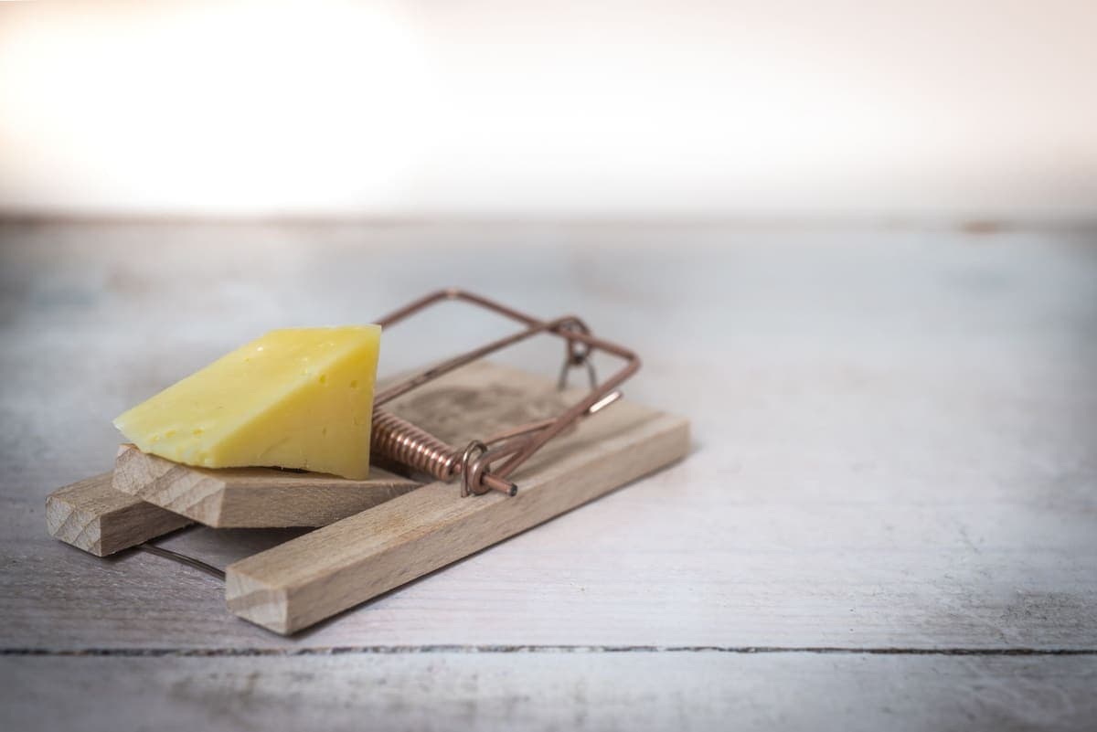 Close-up of a wooden mousetrap baited with cheese on a rustic table surface