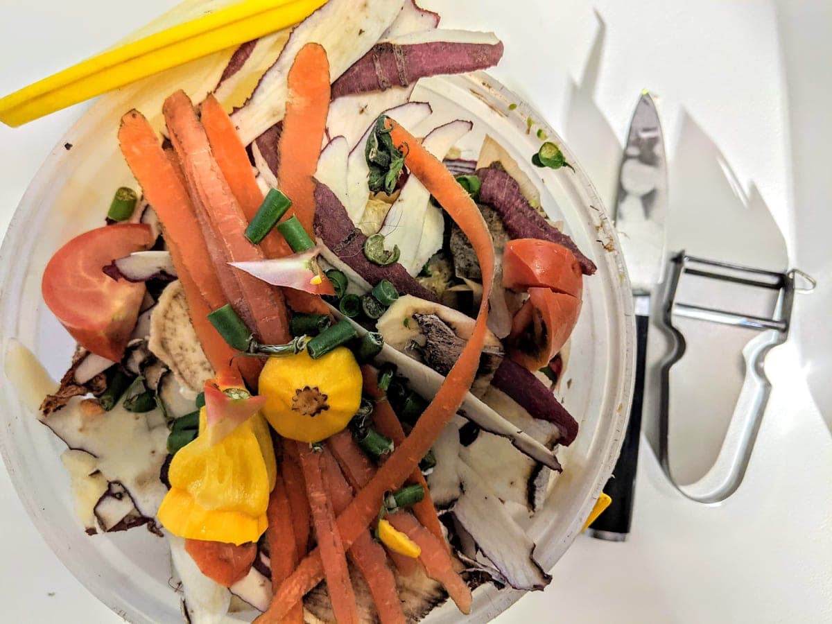 A pile of vegetable peelings for composting