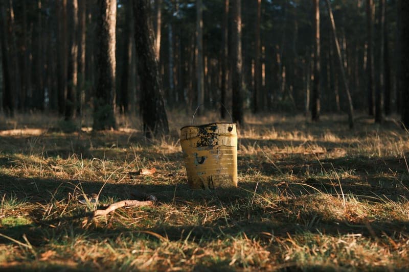 A bucket standing on the ground among pine trees