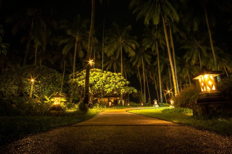 A garden path through palm trees lit at night