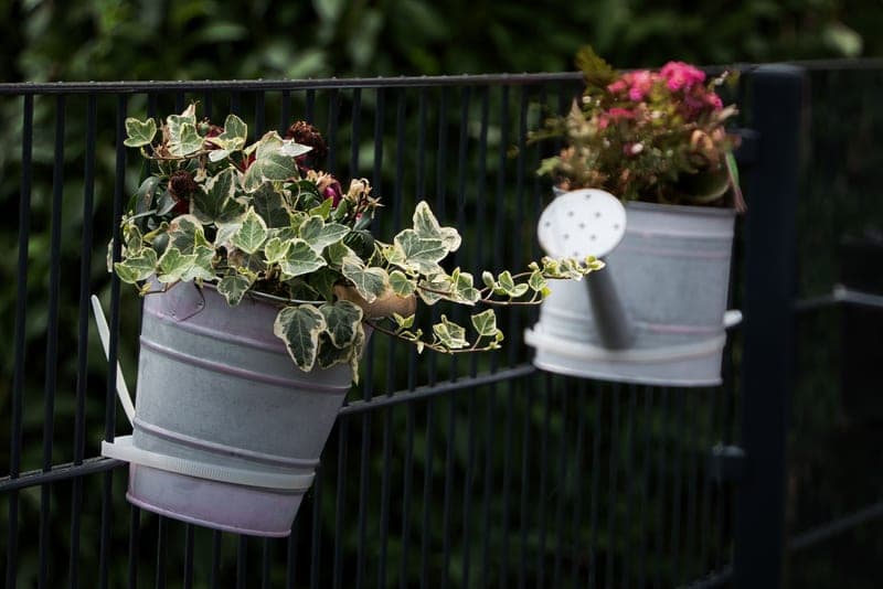 Planters hanging along a garden fence