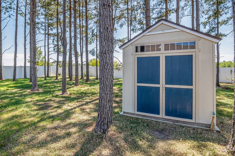 A wooden garden shed among pine trees in a sunny clearing