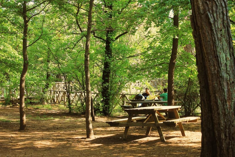 Two adults having a picnic in a green park